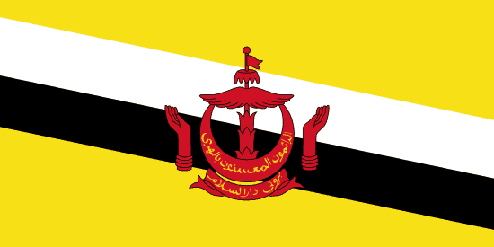 Brunei's Flag