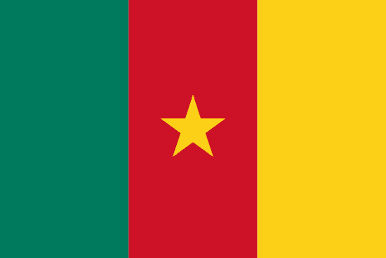 Cameroon's Flag