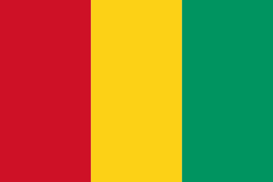Guinea's Flag