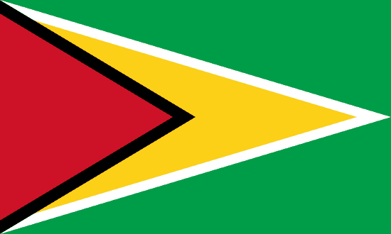 Guyana's Flag