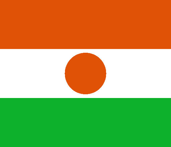 Niger's Flag