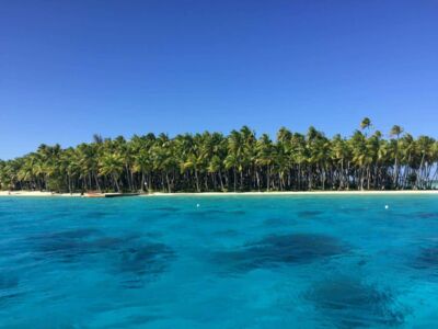 Picture Perfect Palm Island