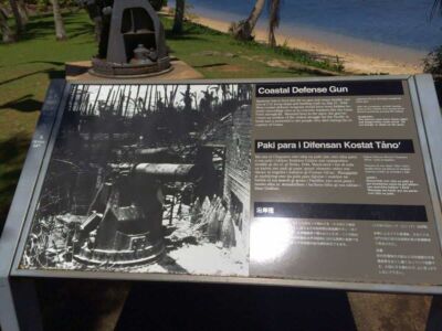 Coastal Defense Gun Description